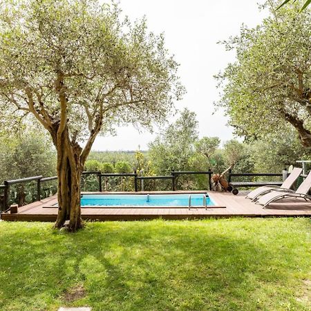 Villa Villacolle Масароза Екстериор снимка